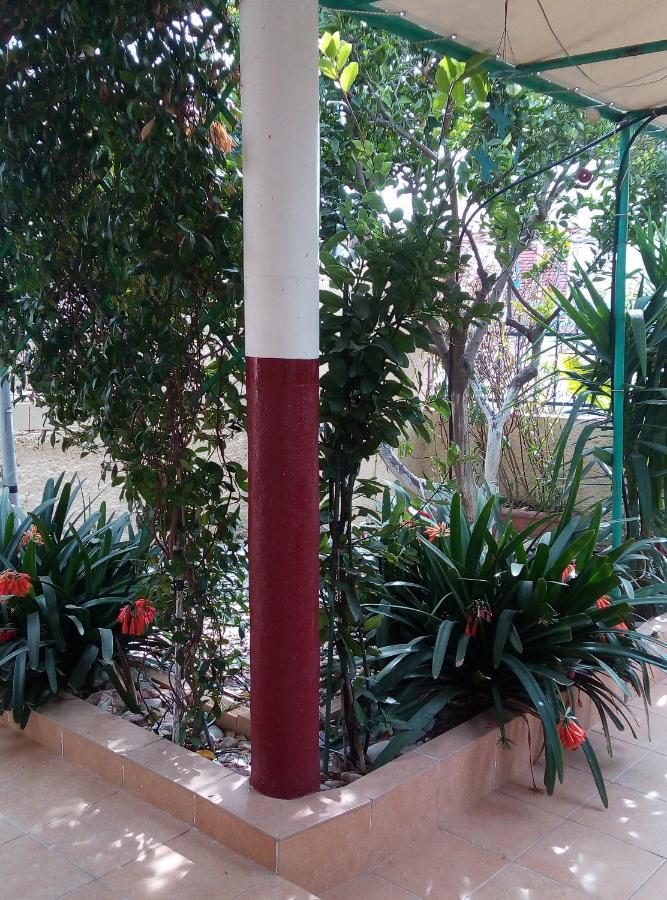 Lefteris Beautiful Aegina Villa Dış mekan fotoğraf
